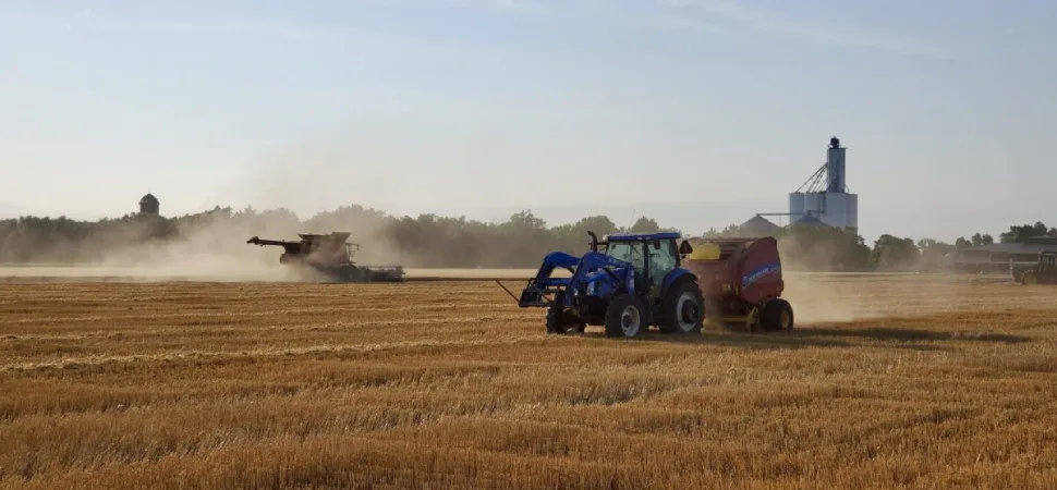 Dänische Landwirtschaft