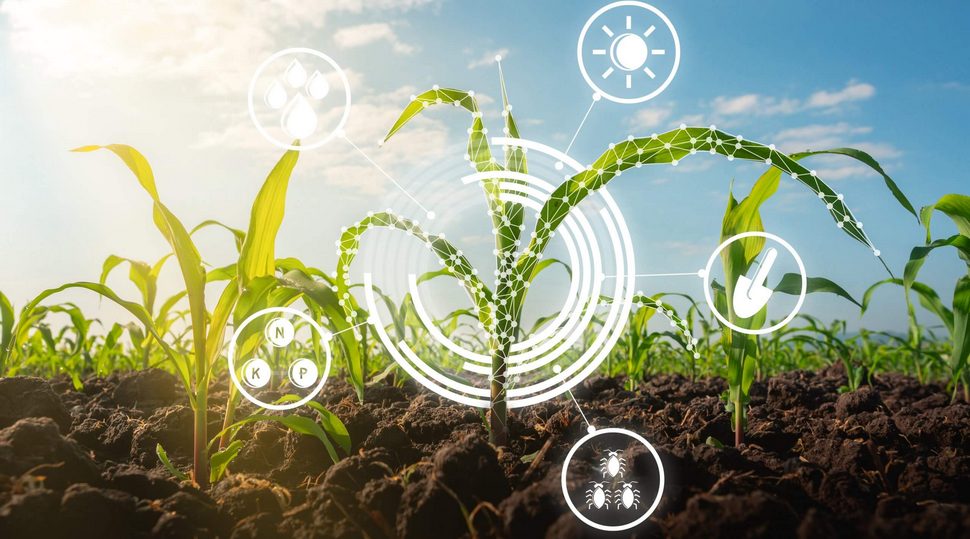 Innovation in Agribusiness: Three Incredible Innovations