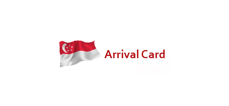 Exploring SG-ArrivalCard.Online's offerings: Neutral review